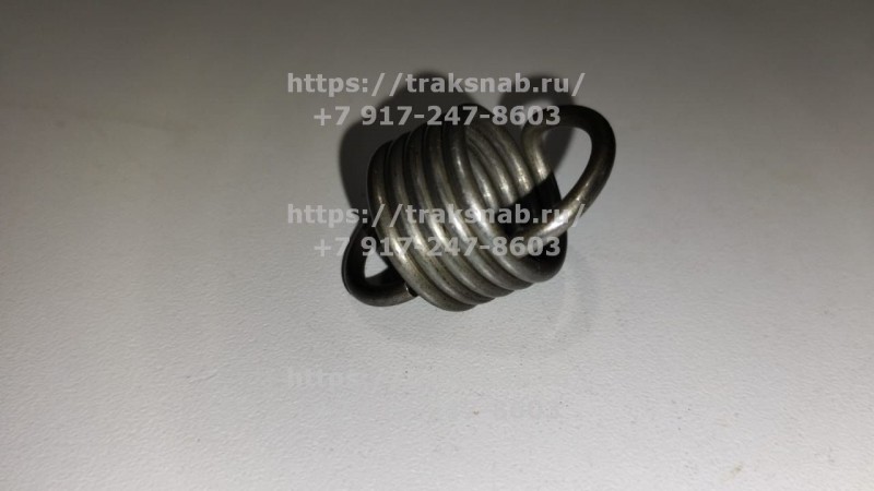 Пружина тормозного диска нажимная — 3