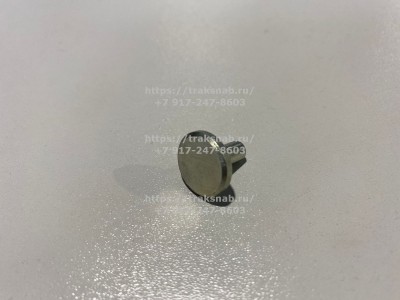 Сухарь маховика