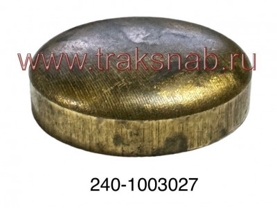 Заглушка головки блока 21г (латунь)